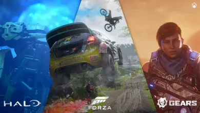 مت بوتی: ایکس باکس بدون وابستگی به Halo و Forza